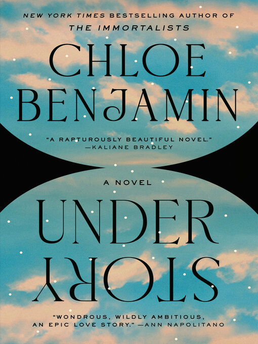 Cover image for Under Story